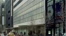 MoMA View 2